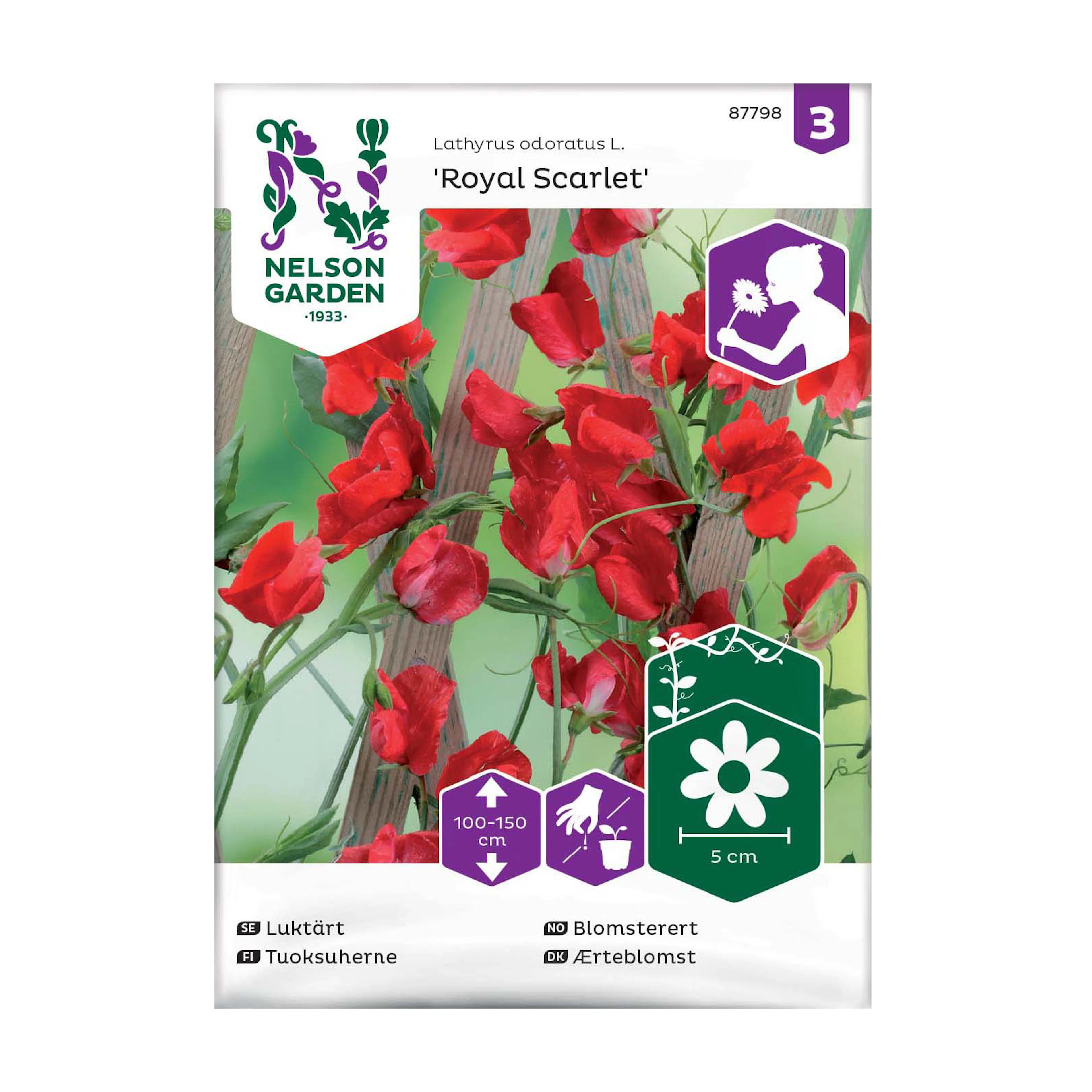Frö Luktärt Nelson Garden Royal Scarlet Röd