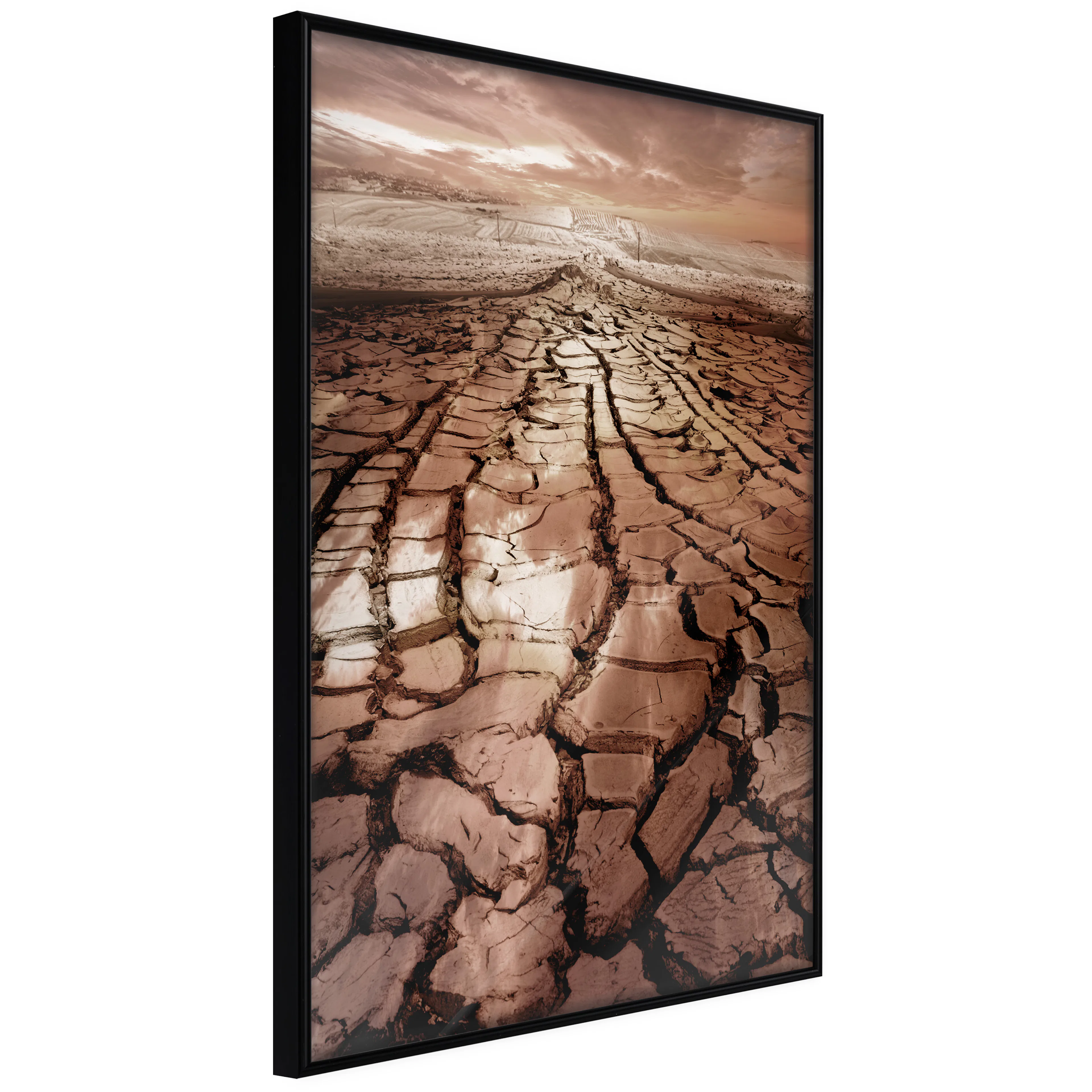 Affisch - Drought [Poster] 40x60 Svart ram, 40x60 cm