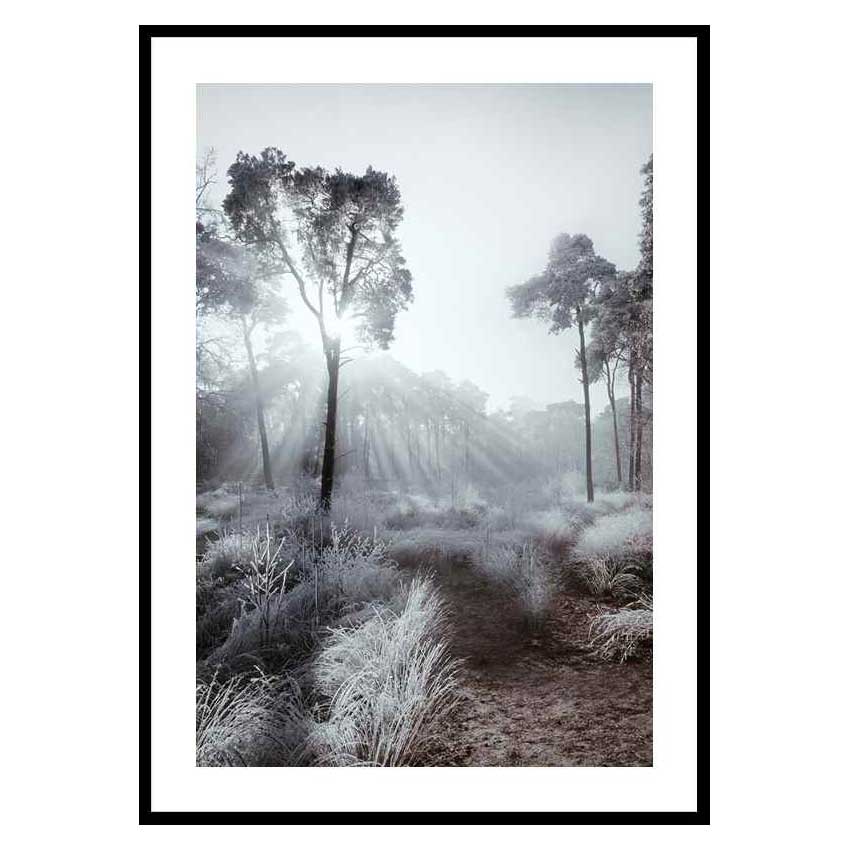 Poster Gallerix Winter Sunrays