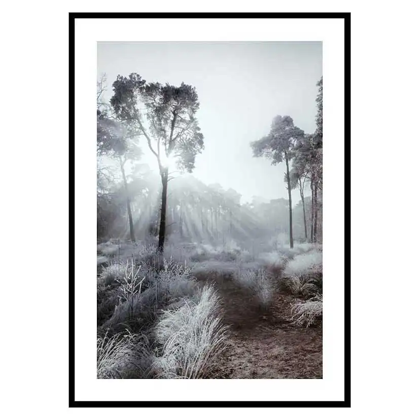 Poster Gallerix Winter Sunrays