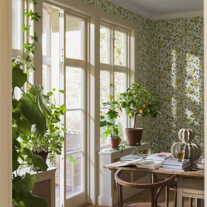 Tapet Boråstapeter Citronträd 5702