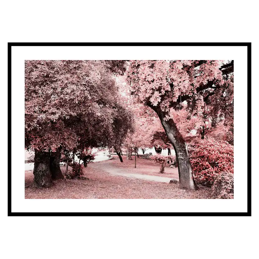 Poster Gallerix Pink Trees No1