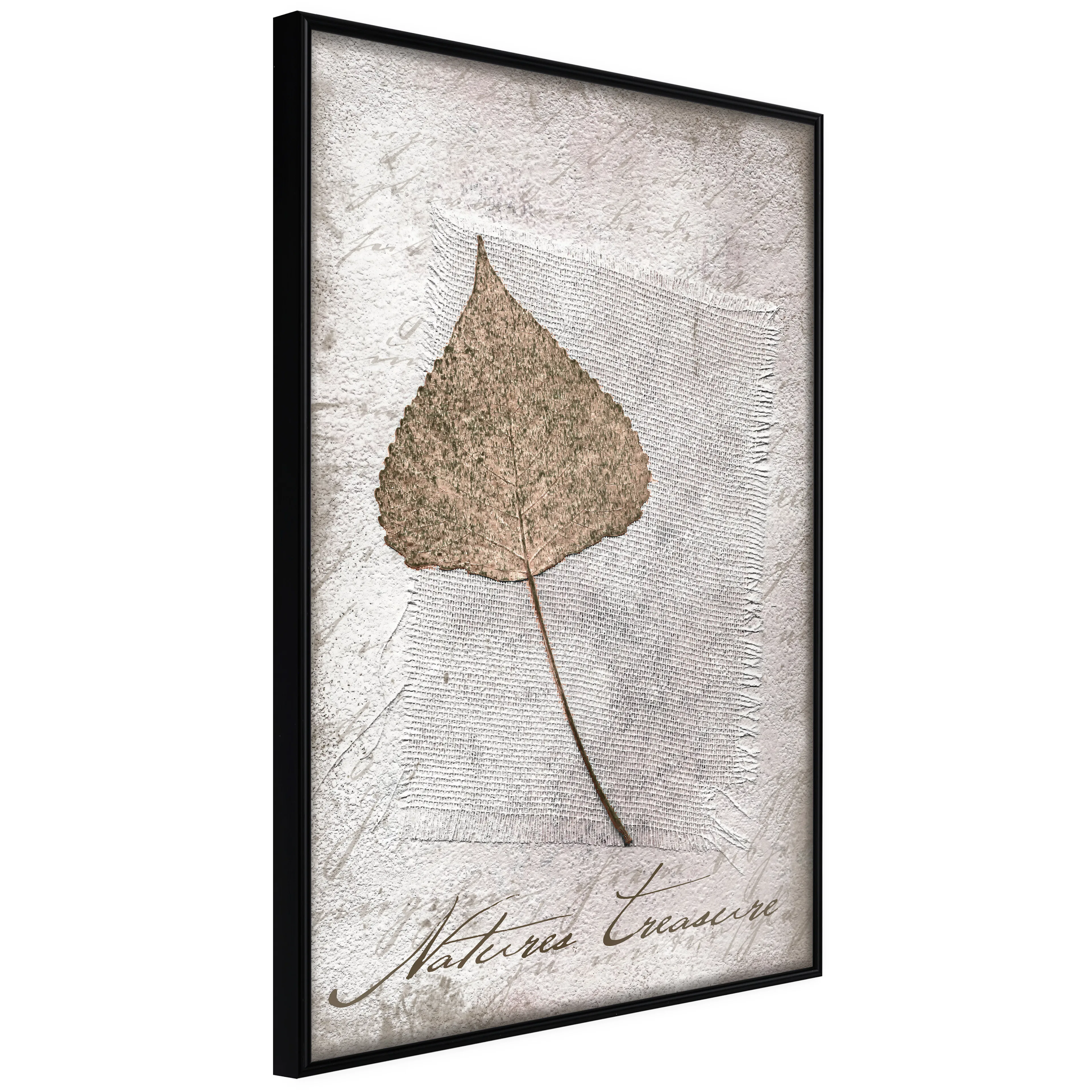 Affisch - Natures Treasures [Poster] 40x60 Svart ram, 40x60 cm