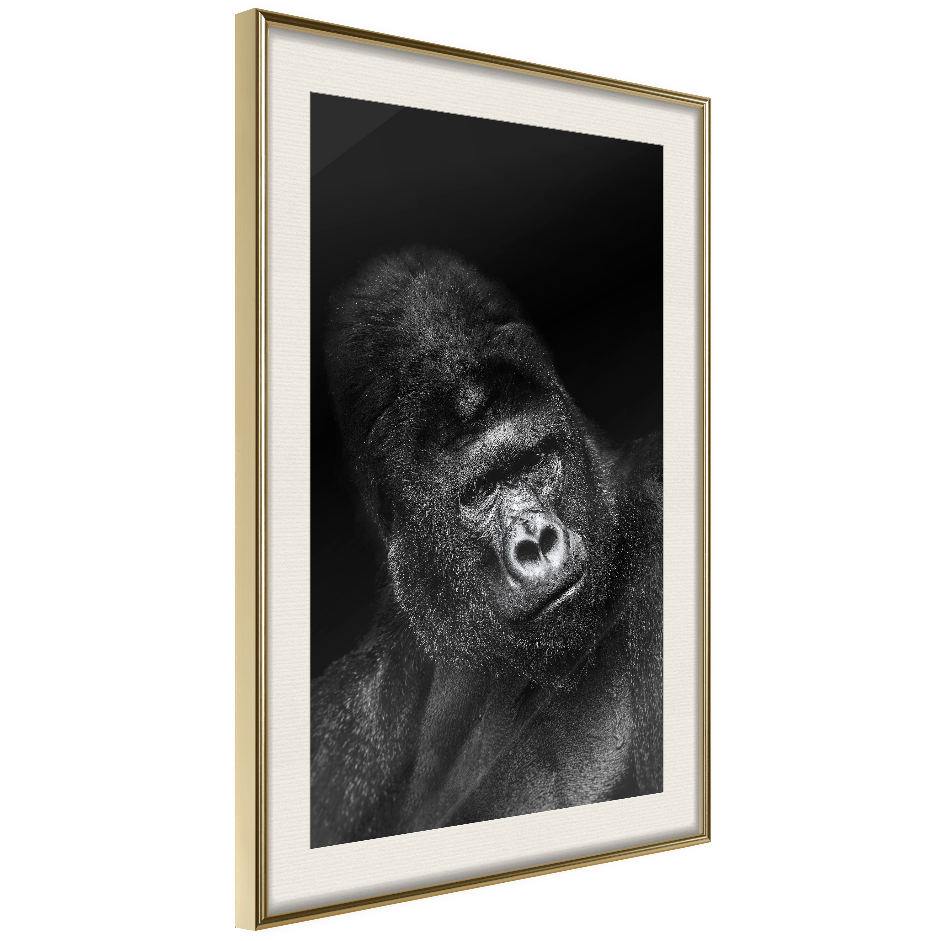 Affisch - Gorilla [Poster] 30x45 Guld ram med passepartout, 30x45 cm
