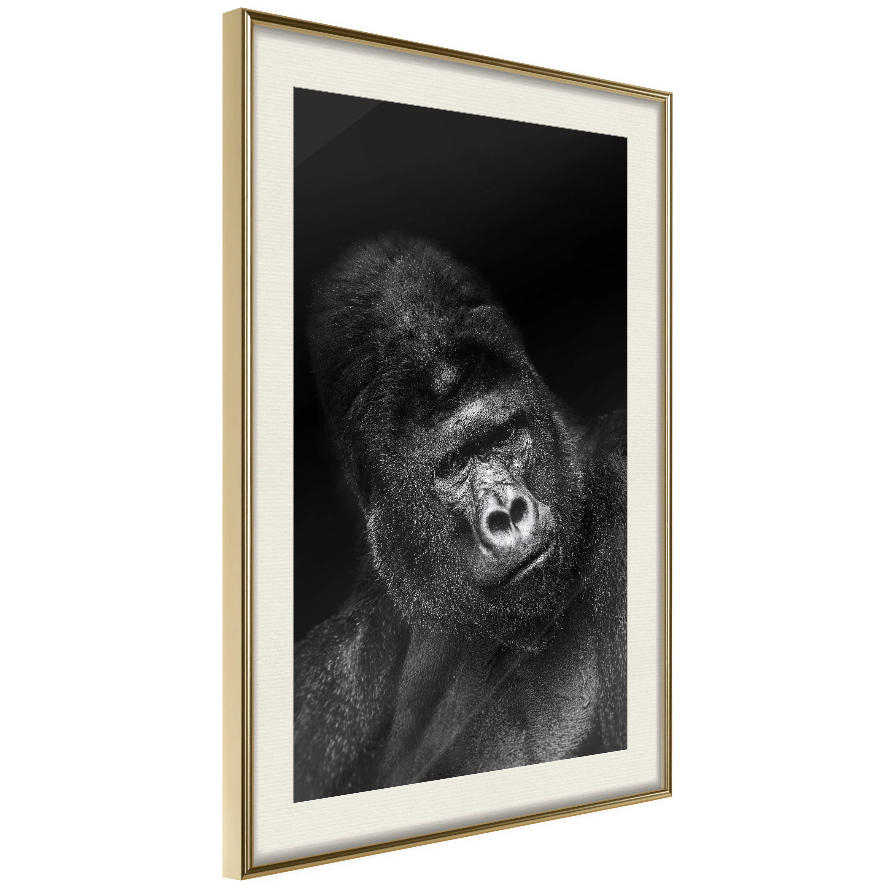 Poster Artgeist Affisch Gorilla