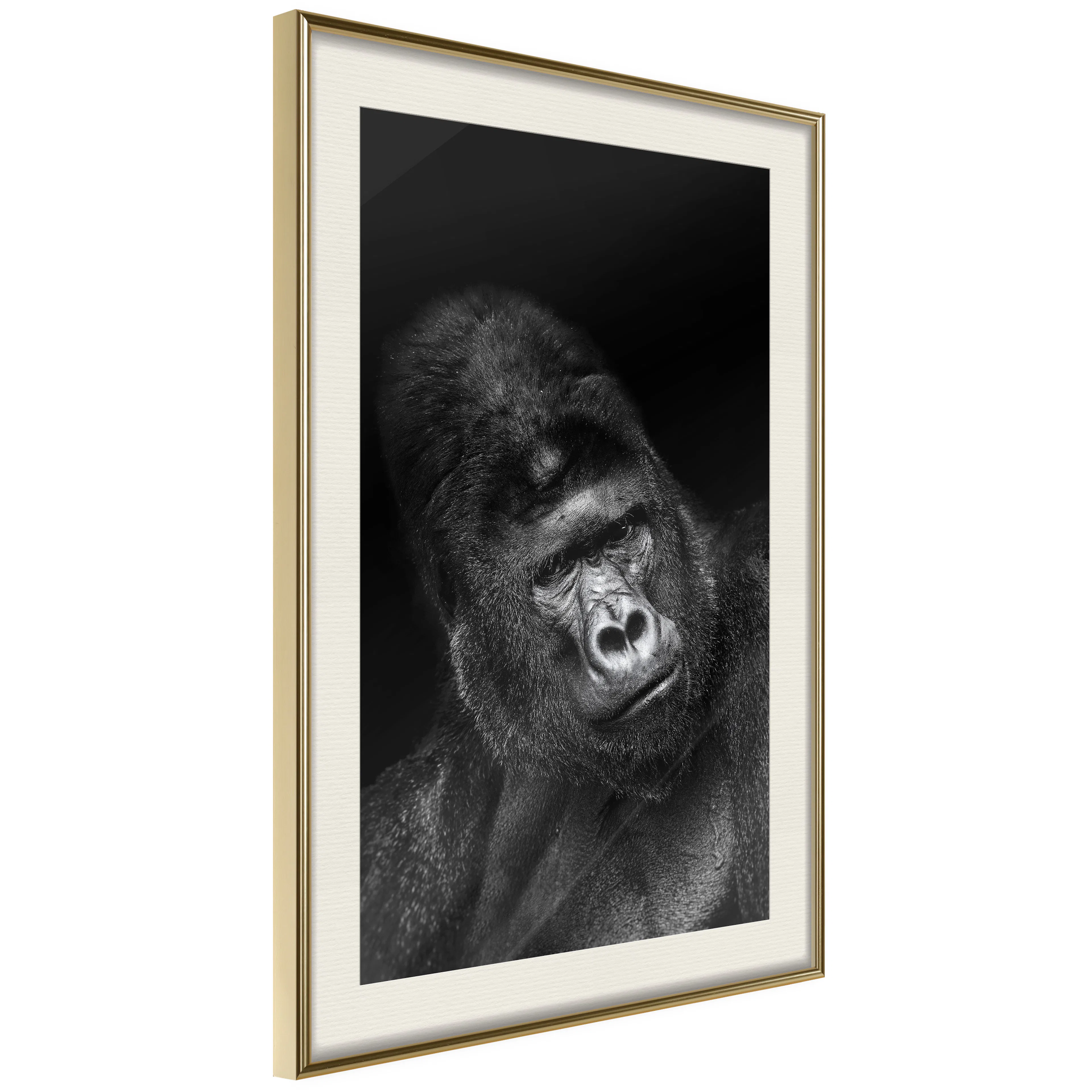 Poster Artgeist Affisch Gorilla