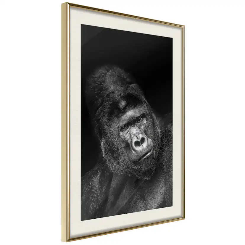 Poster Artgeist Affisch Gorilla