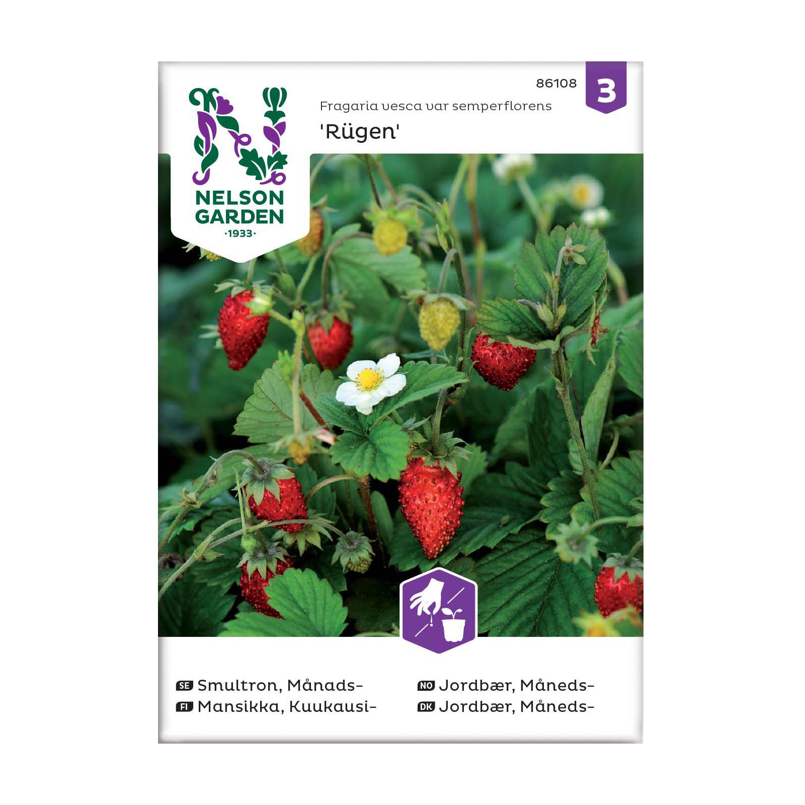 Frö Månadssmultron Nelson Garden Rügen