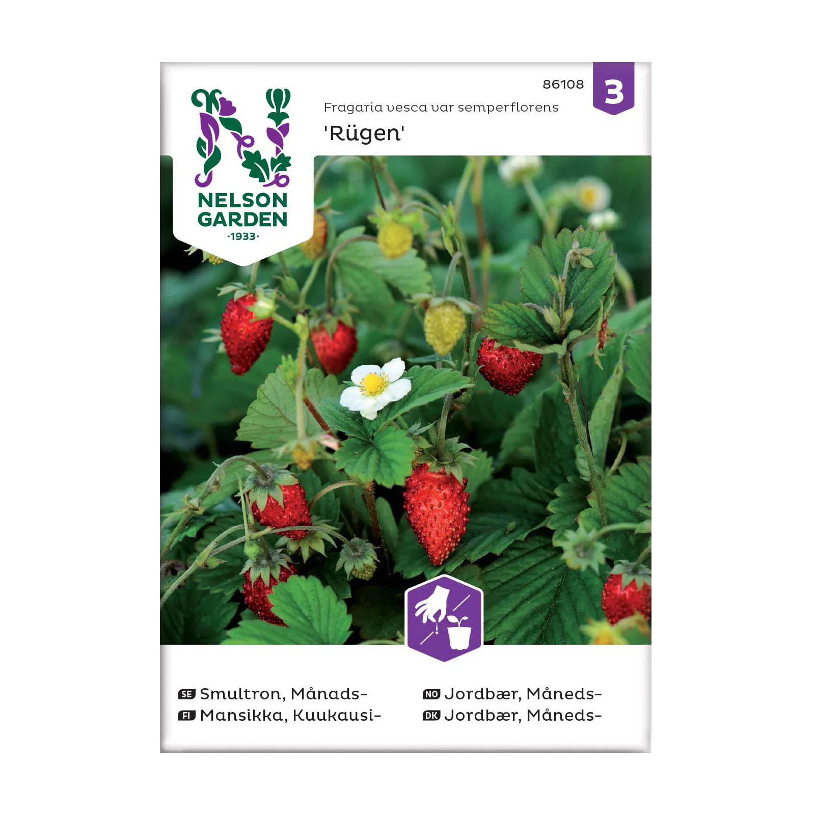 Frö Månadssmultron Nelson Garden Rügen