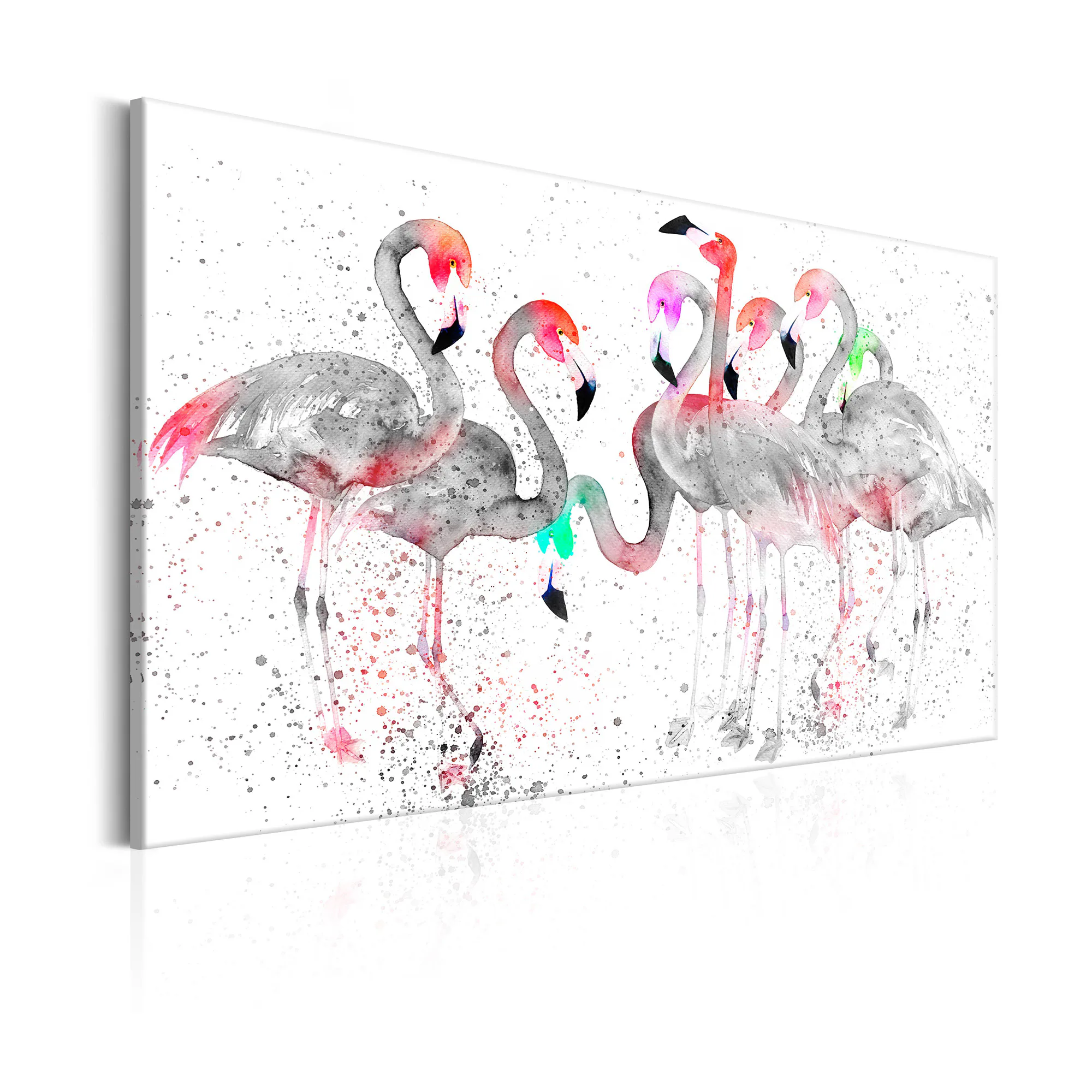 Tavla Arkiio Flamingoes Dance