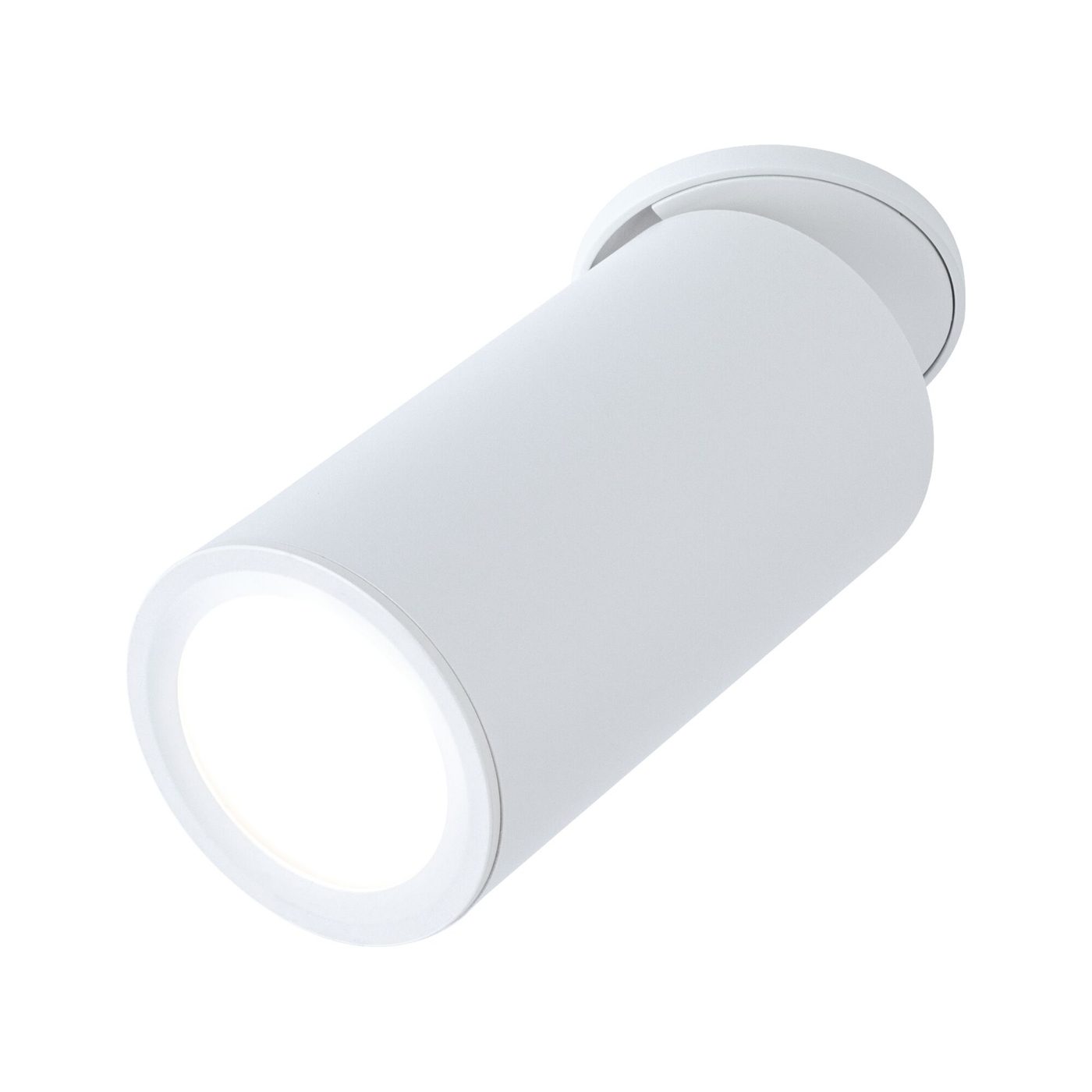 Downlight Paulmann Turnal