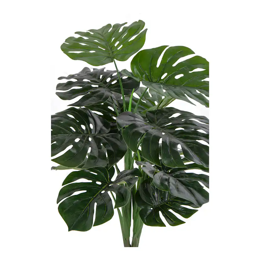 Konstväxt House Nordic Monstera