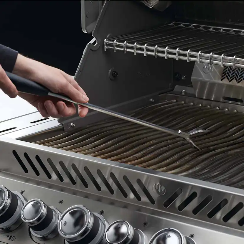 Gallerskrapa Napoleon