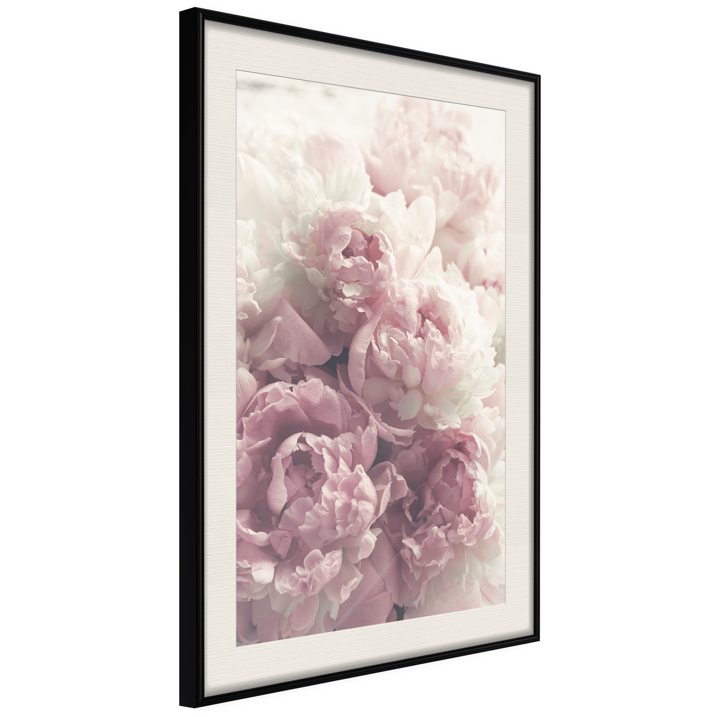 Affisch - Delicate Peonies [Poster] 30x45 Svart ram med passepartout, 30x45 cm