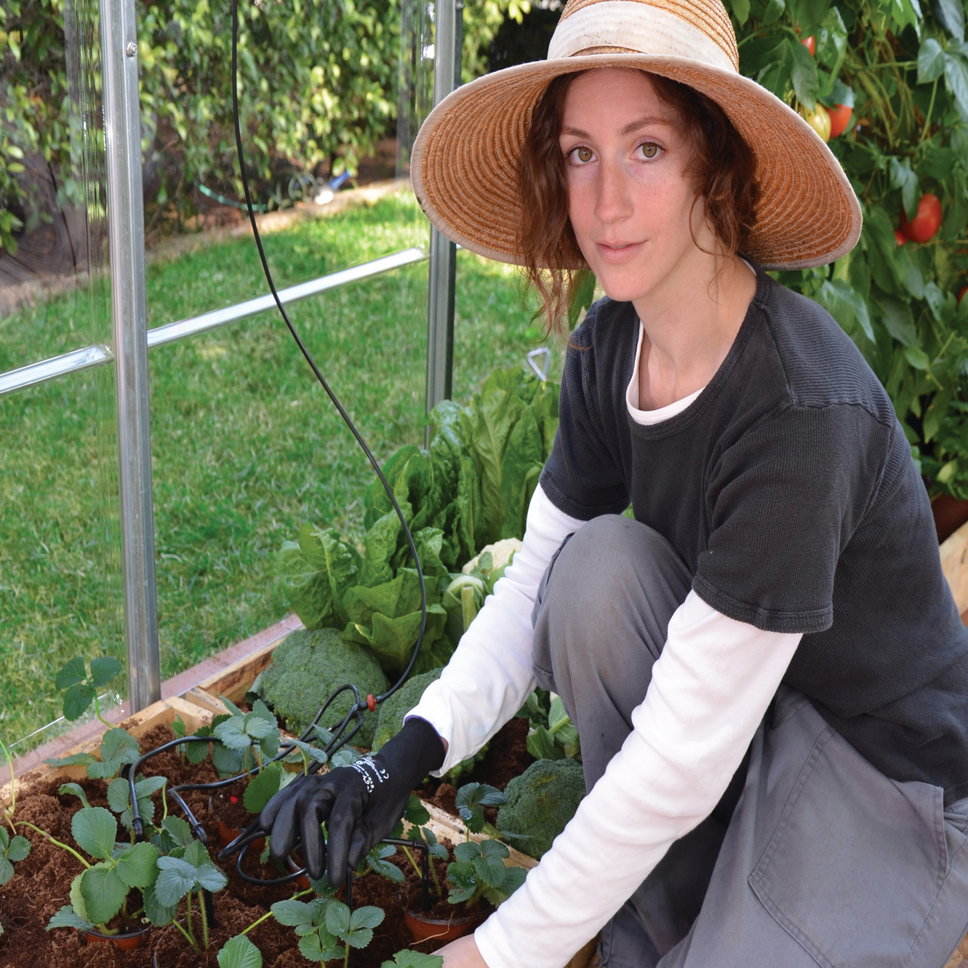 Droppbevattningskit Canopia by Palram