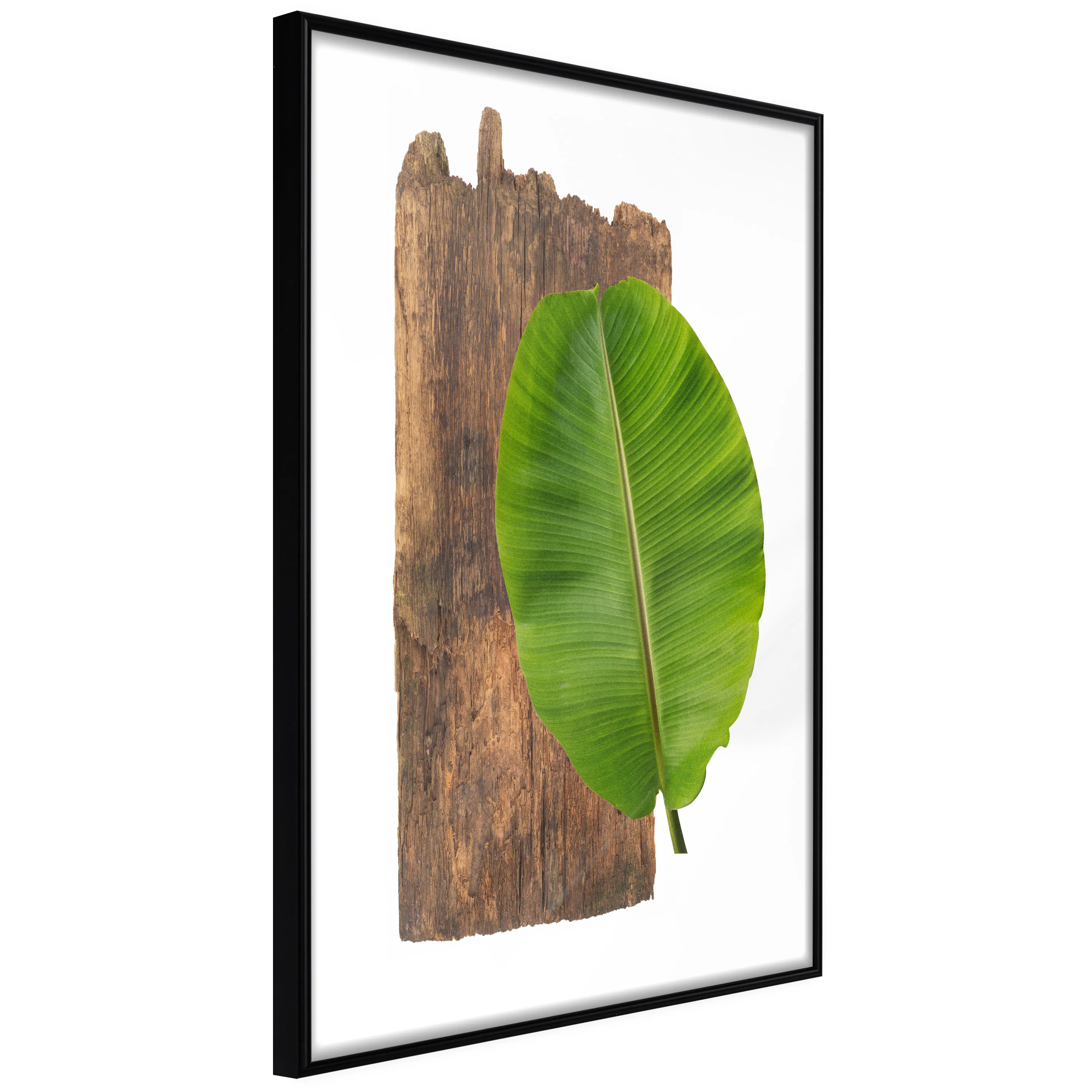 Poster Artgeist Affisch Authority of Nature