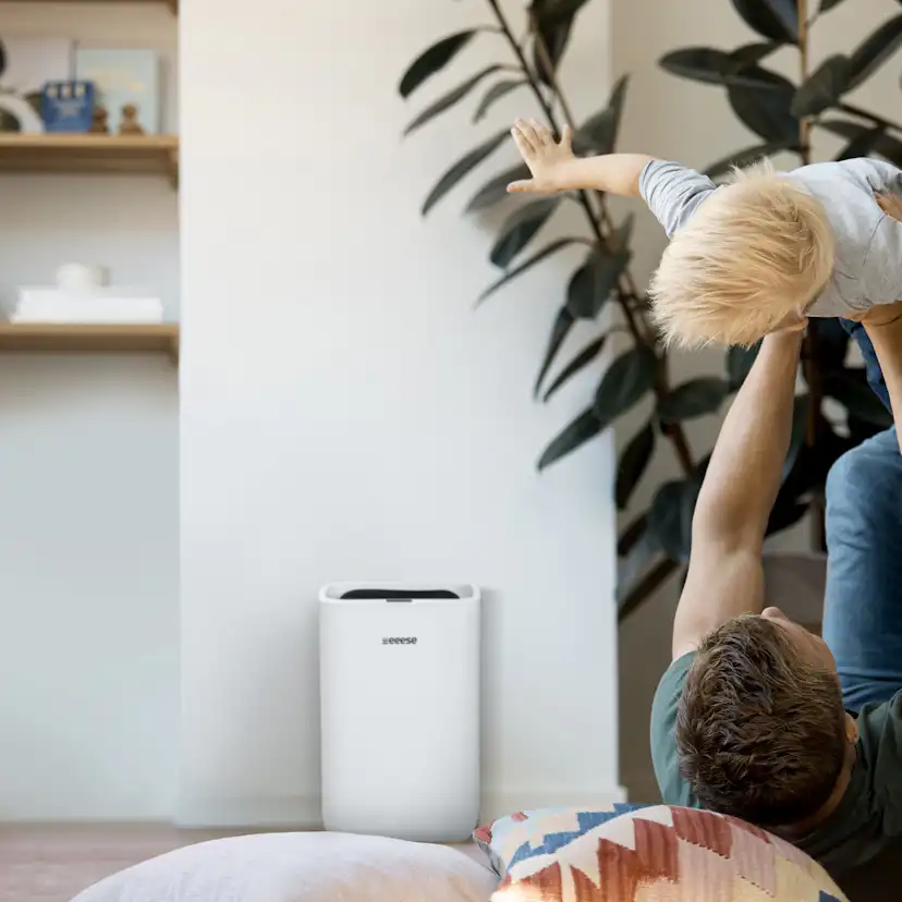 Avfuktare Eeese air care Hugo 13L