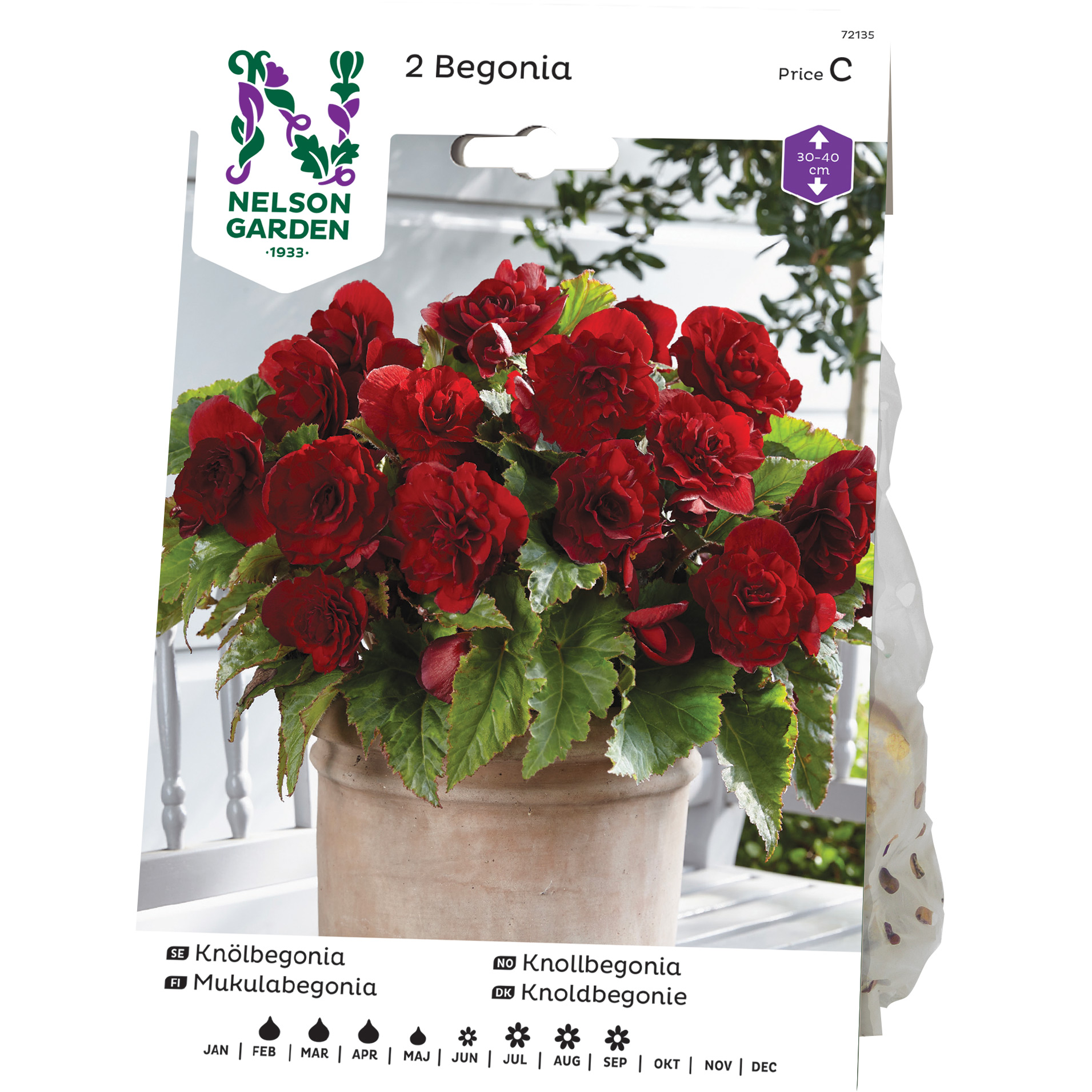 Knölbegonia Nelson Garden