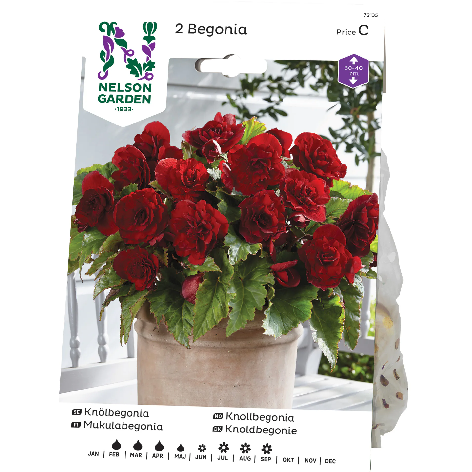 Knölbegonia Nelson Garden