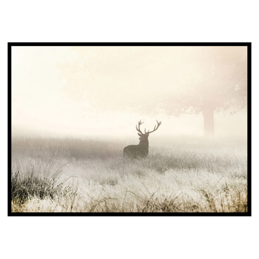 Poster Gallerix Deer In Mist