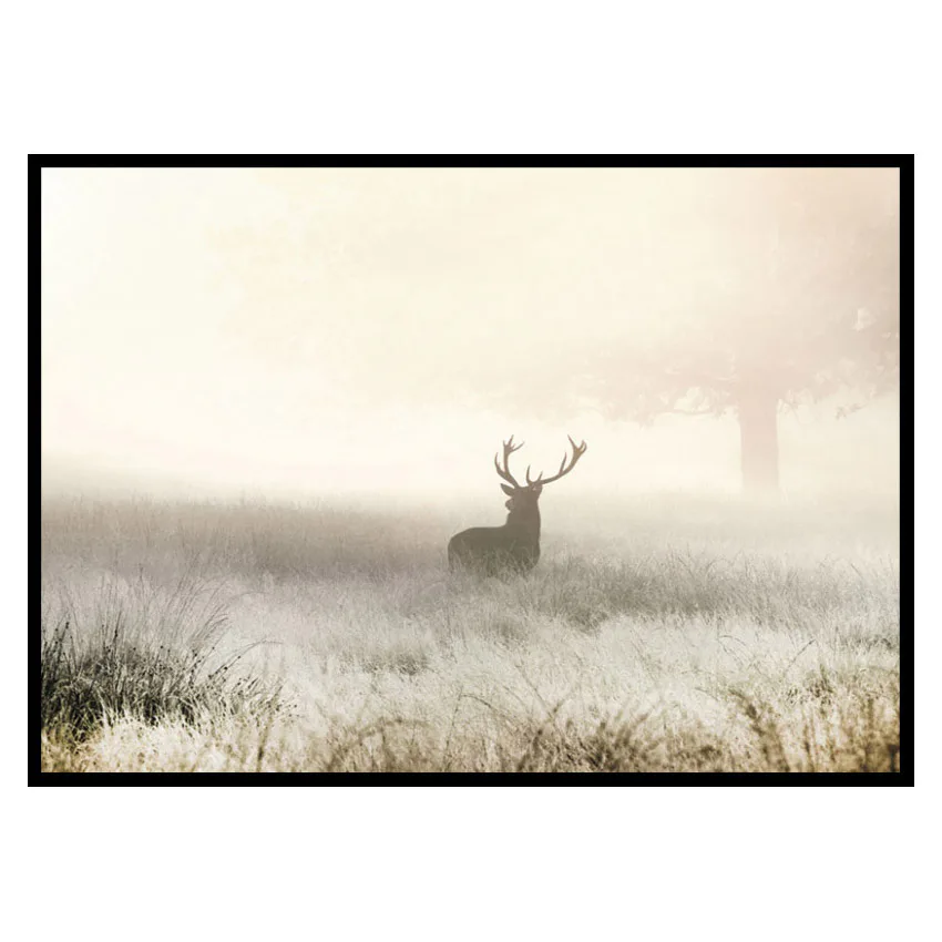 Poster Gallerix Deer In Mist