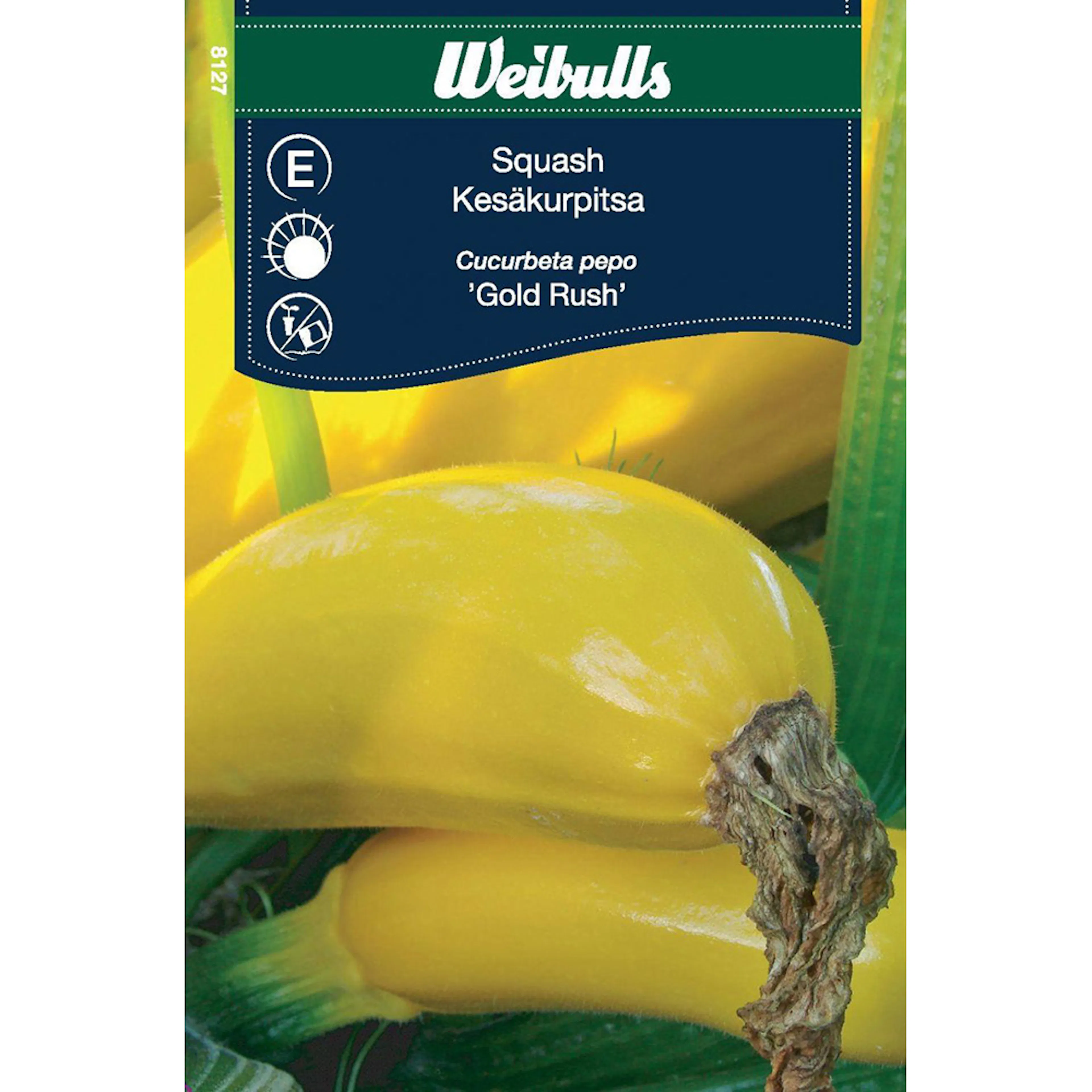 Frö Squash Weibulls Gold Rush