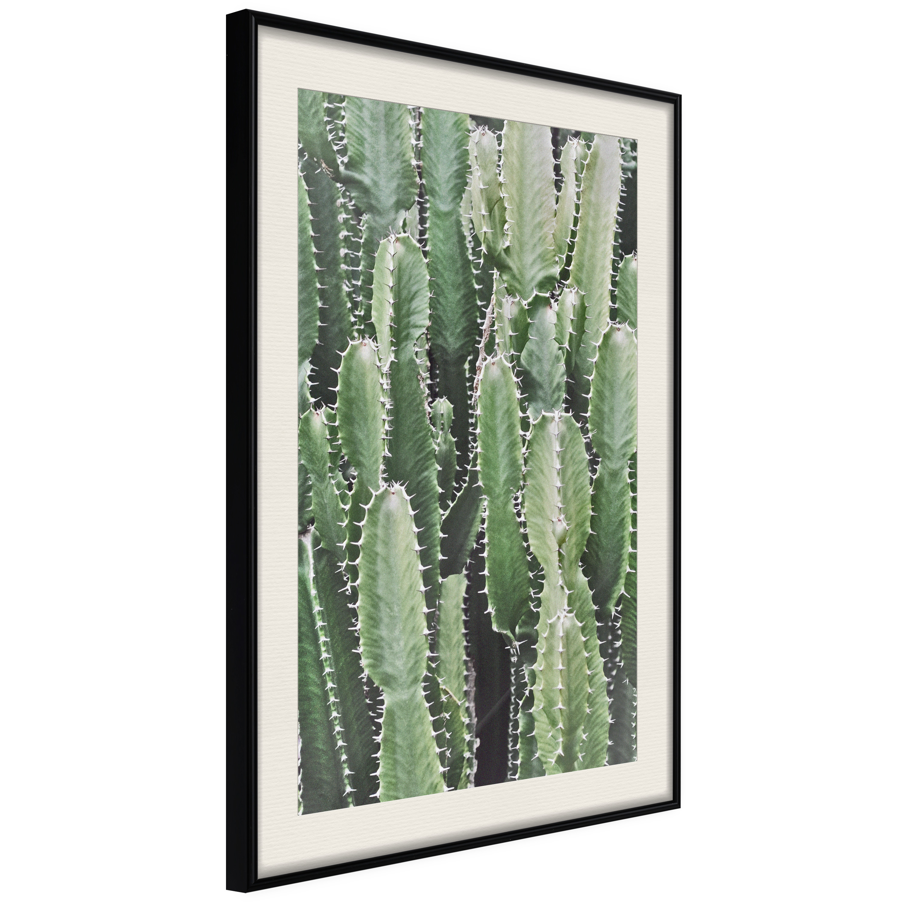 Affisch - Cactus Garden [Poster] 30x45 Svart ram med passepartout, 30x45 cm