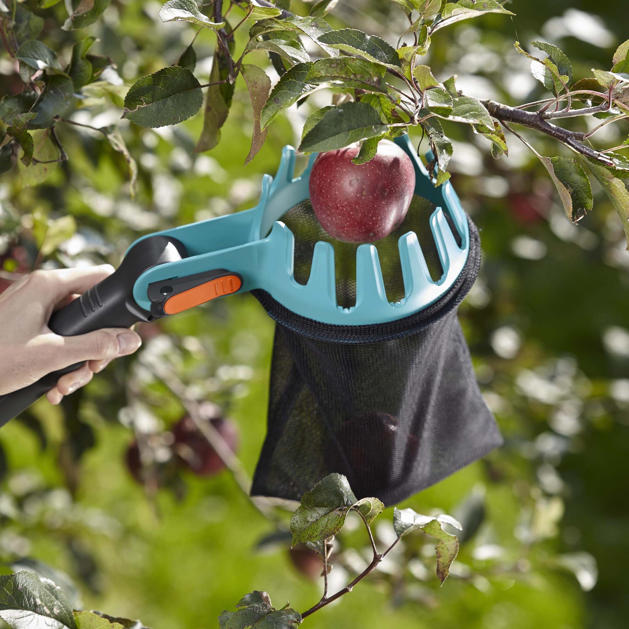 Combipaket Gardena Fruktuppsamlare & Fruktplockare Med Skaft