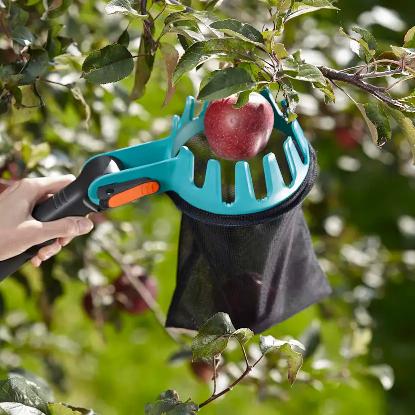 Combipaket Gardena Fruktuppsamlare & Fruktplockare Med Skaft