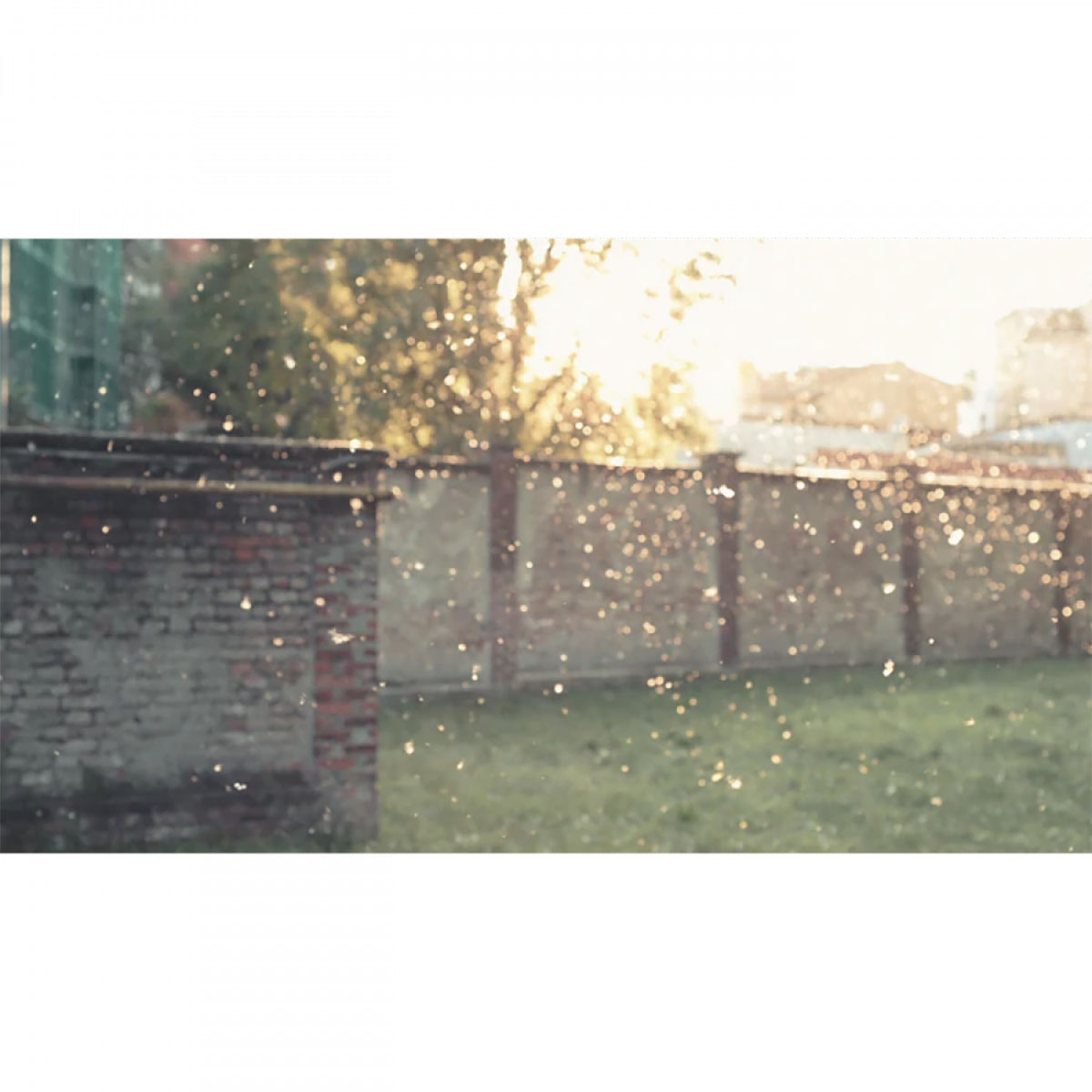 Filter Electrolux EF108W 1 HEPA H13 Till Luftrenare