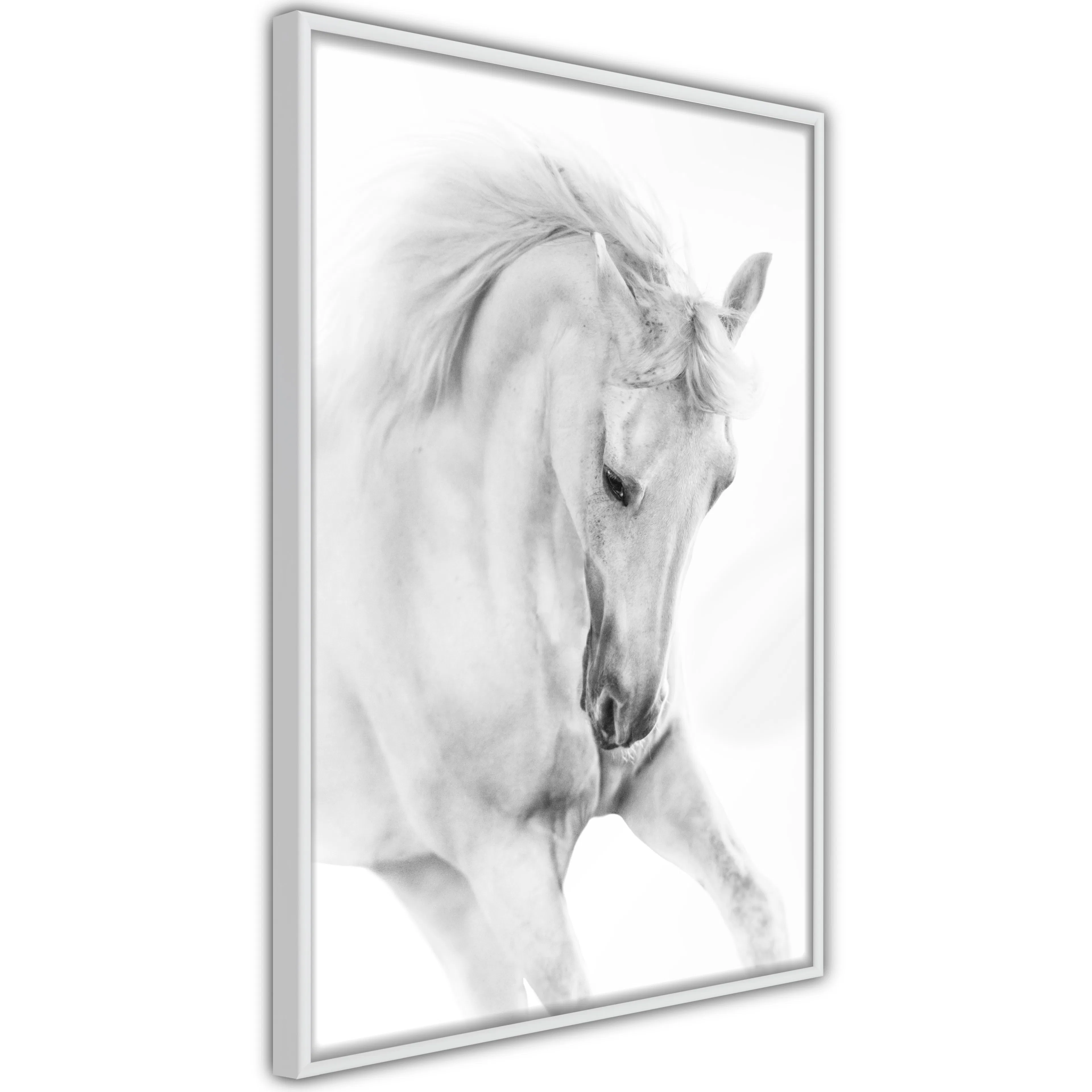 Poster Artgeist Affisch White Horse