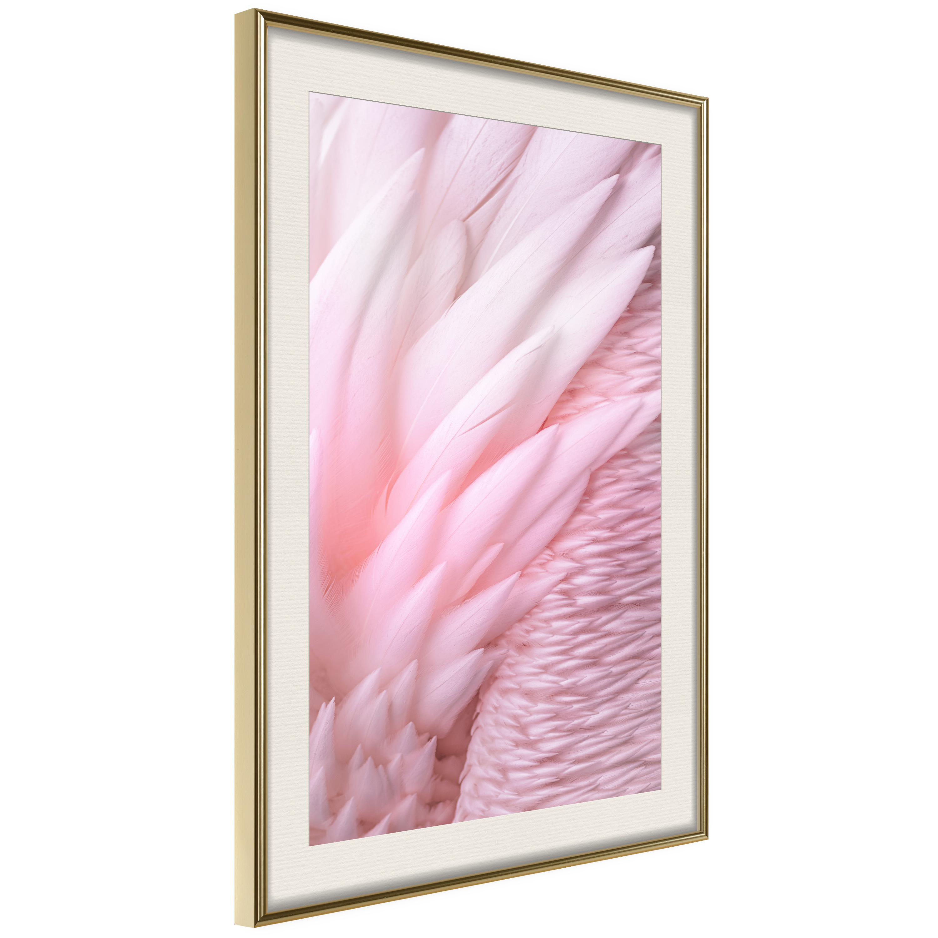Affisch - Feathers [Poster] 40x60 Guld ram med passepartout, 40x60 cm