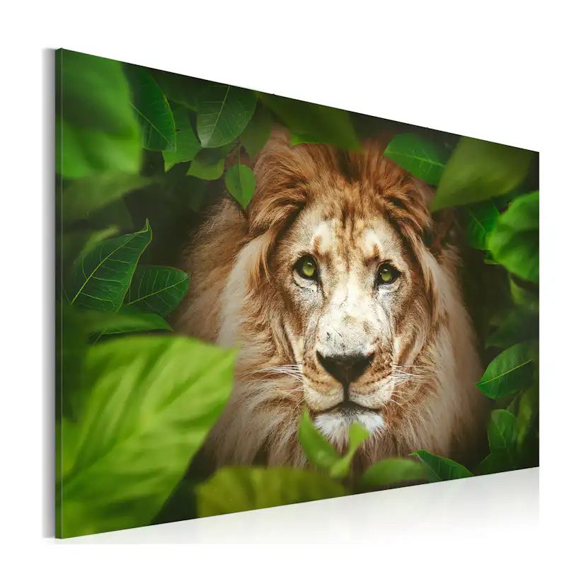 Tavla Arkiio Eyes Of The Jungle