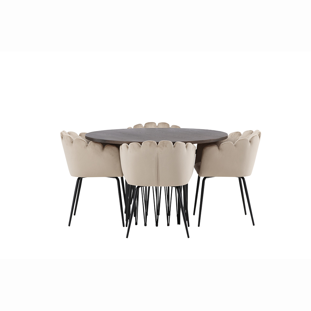Matgrupp furniture/fashion Stone med 4 Limhamn Stolar Runt