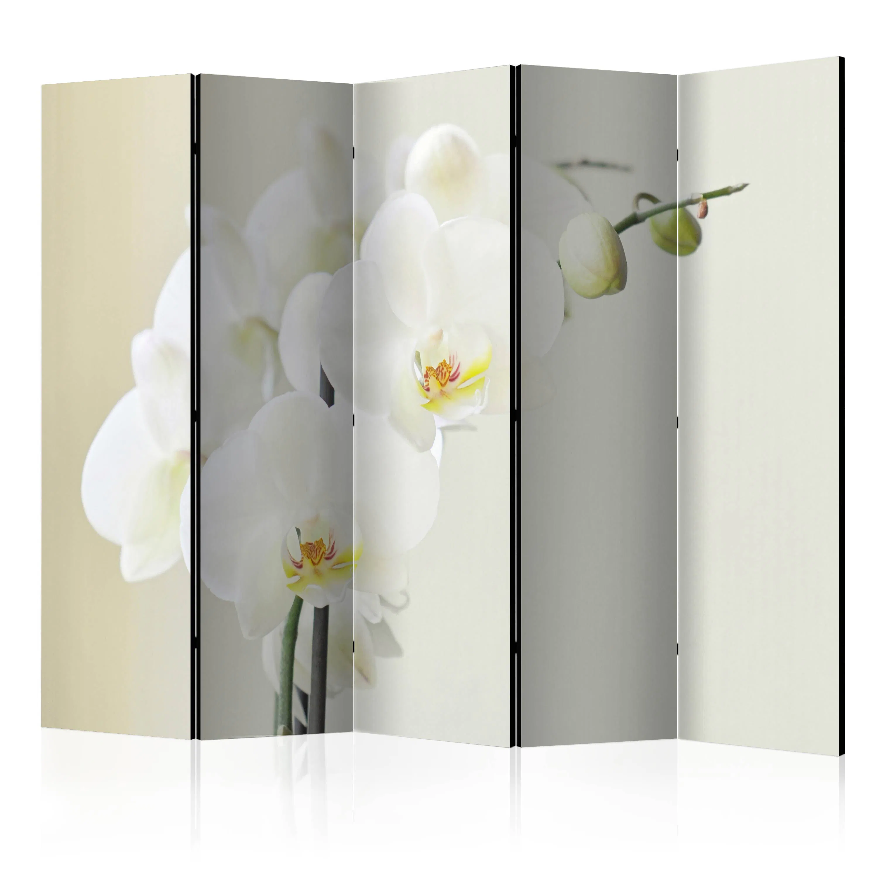 Rumsavdelare Arkiio White Orchid II 225x172 cm