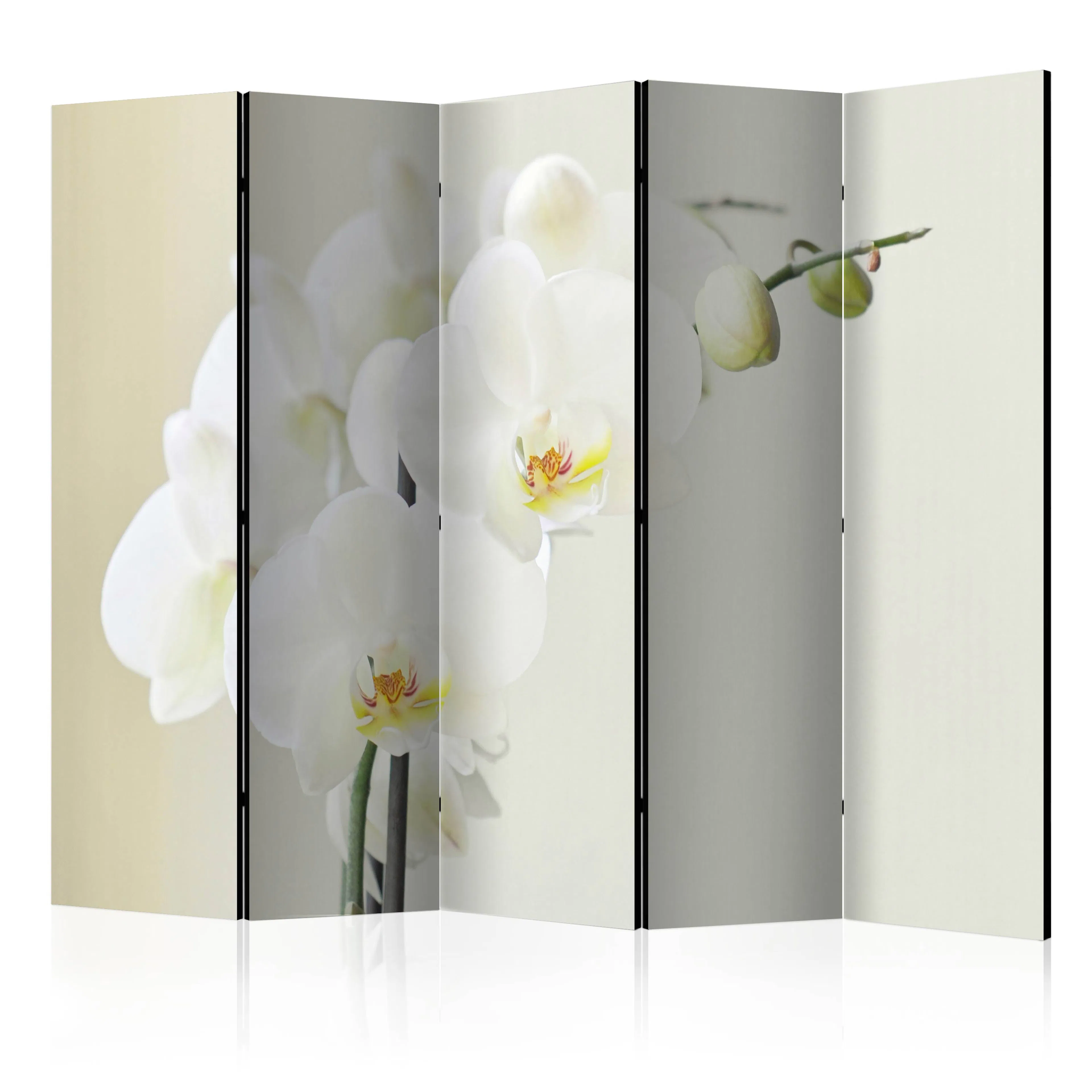 Rumsavdelare Arkiio White Orchid II 225x172 cm