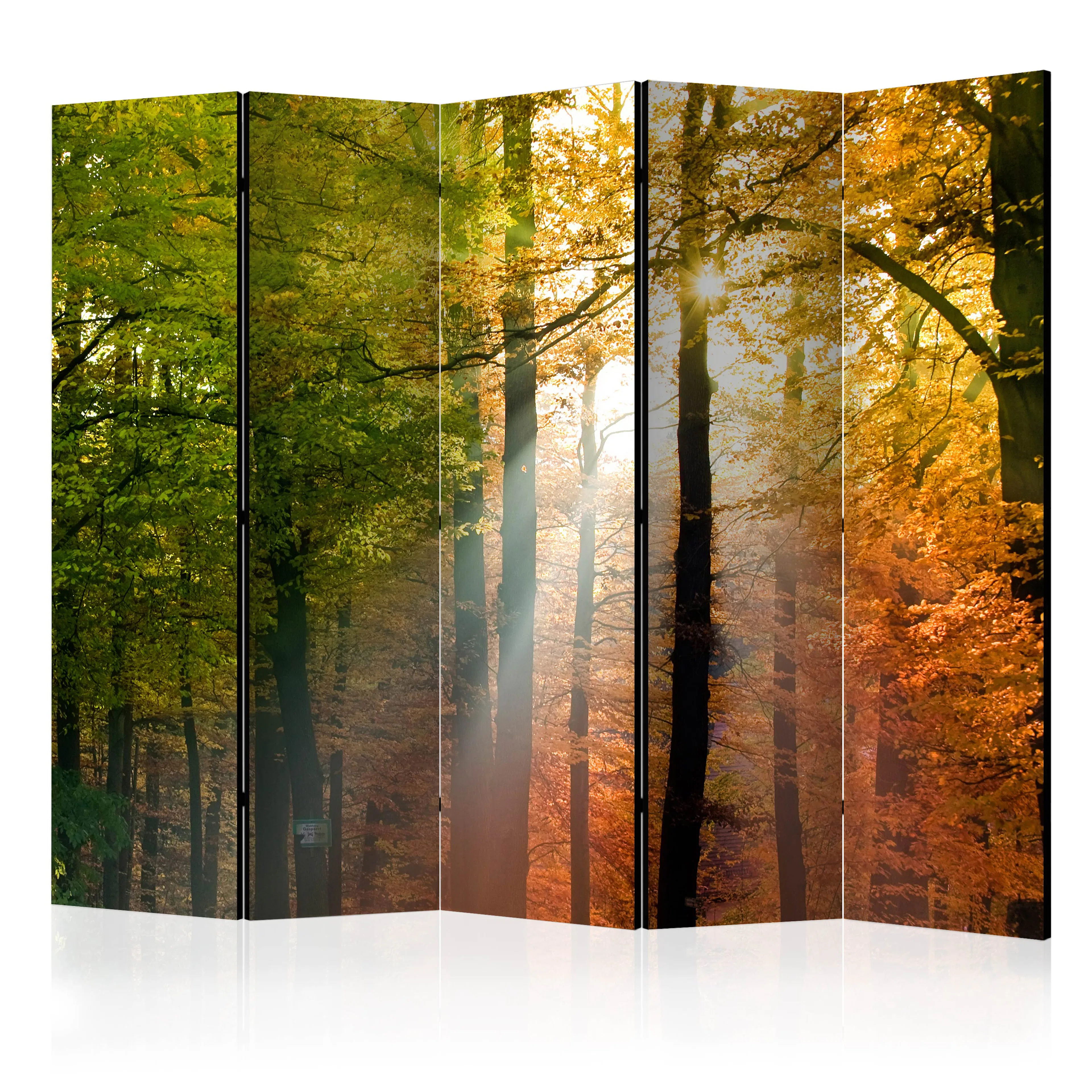 Rumsavdelare Arkiio Forest Colours II 225x172 cm