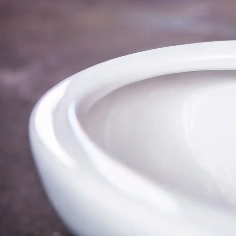Vägghängd Toalettstol Gustavsberg Estetic 8330 Hygienic Flus Vit, Mjukstängande Hårdsits Vit