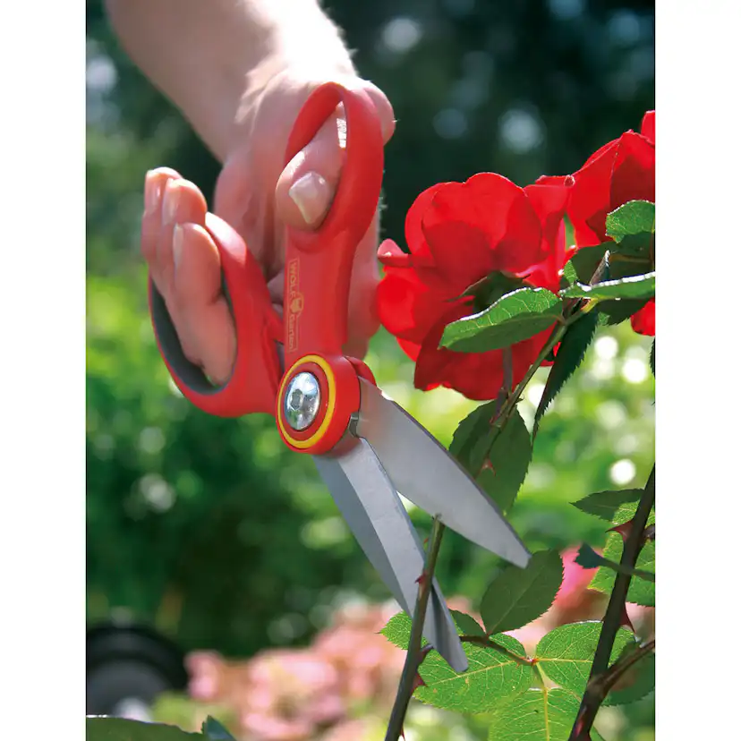 Universalsax WOLF-Garten RA-X