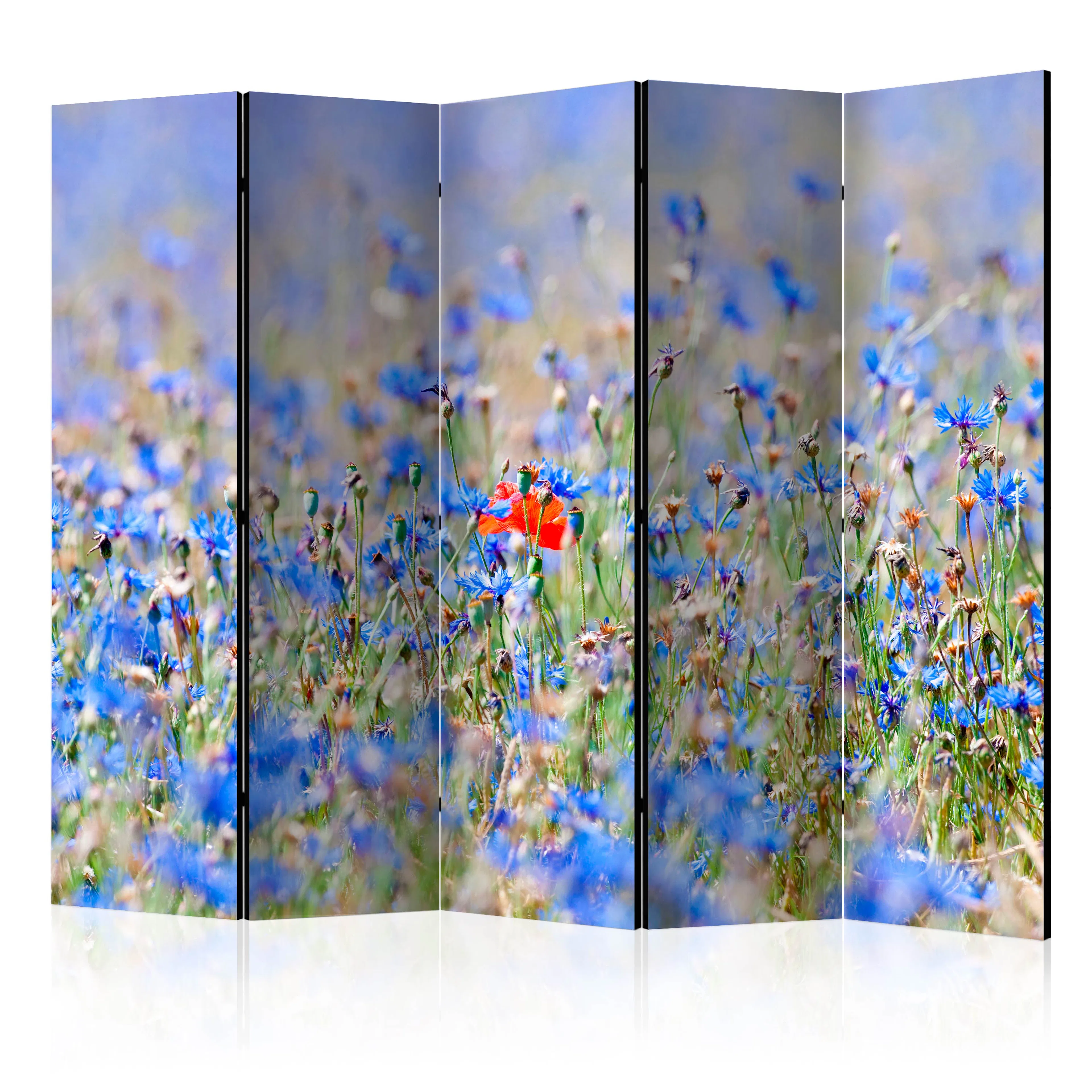 Rumsavdelare Arkiio A Sky-colored Meadow Cornflowers II 225x172 cm