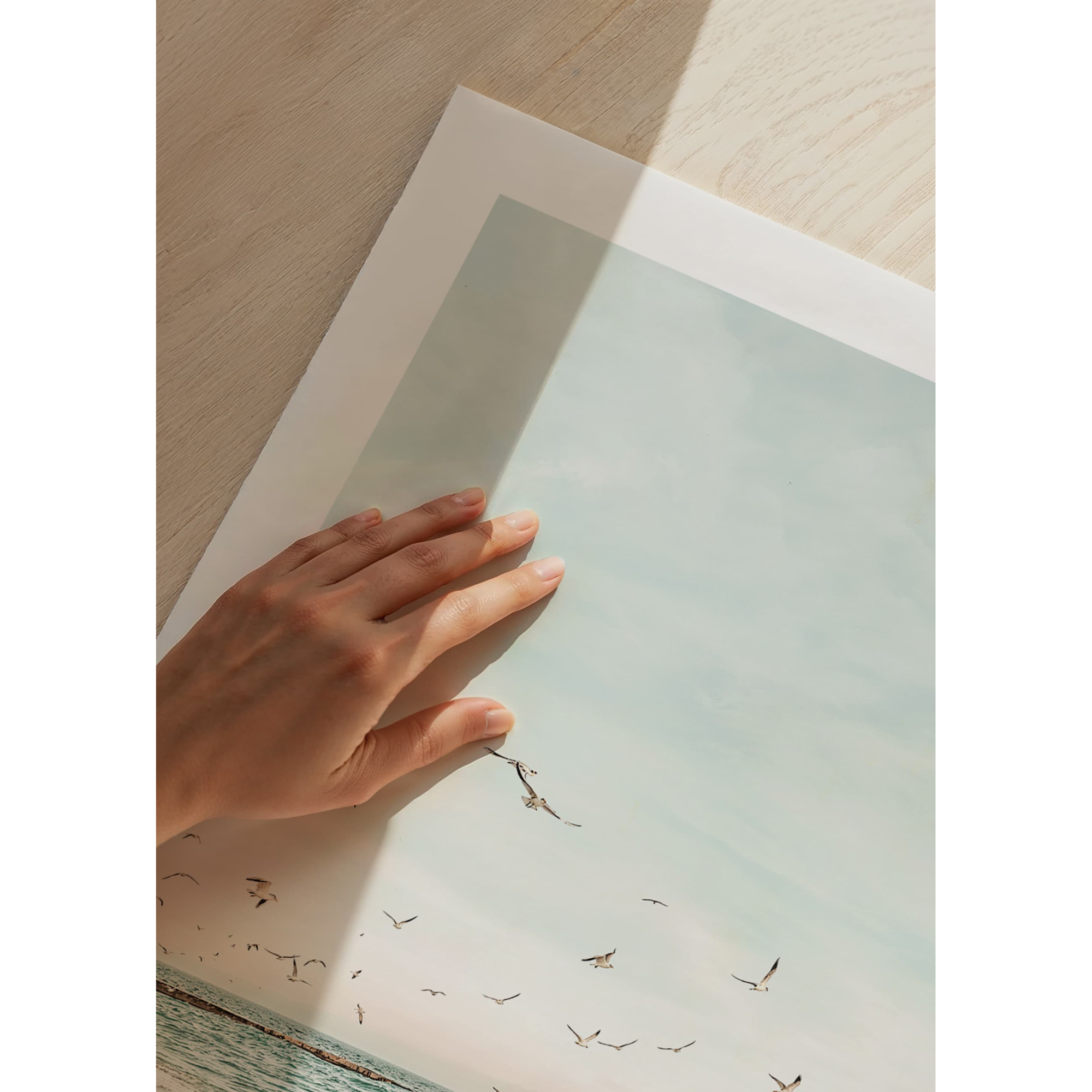 Poster Gallerix Seagull Shore