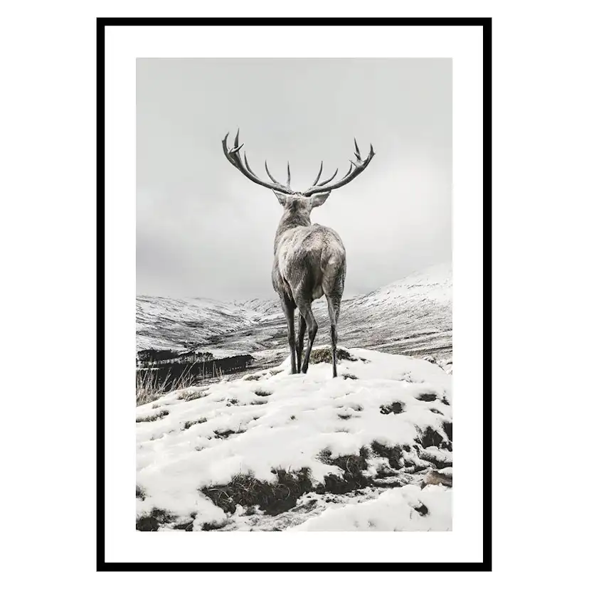 Poster Gallerix Winter Roe Deer