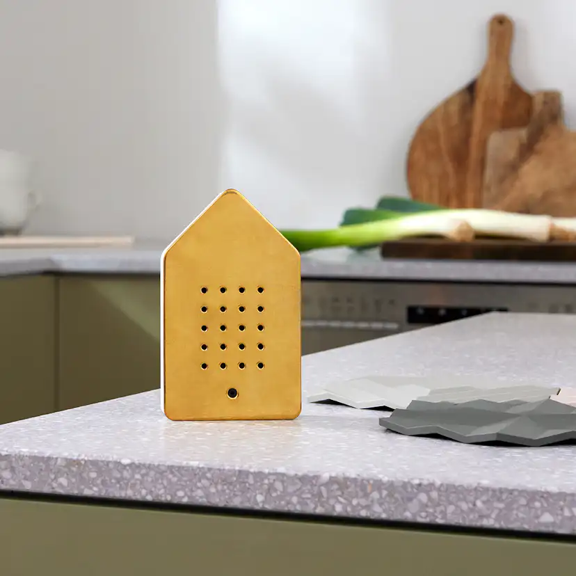 Birdybox Speldosa Fågelkvitter Mässing Fågelkvitter/Mässing