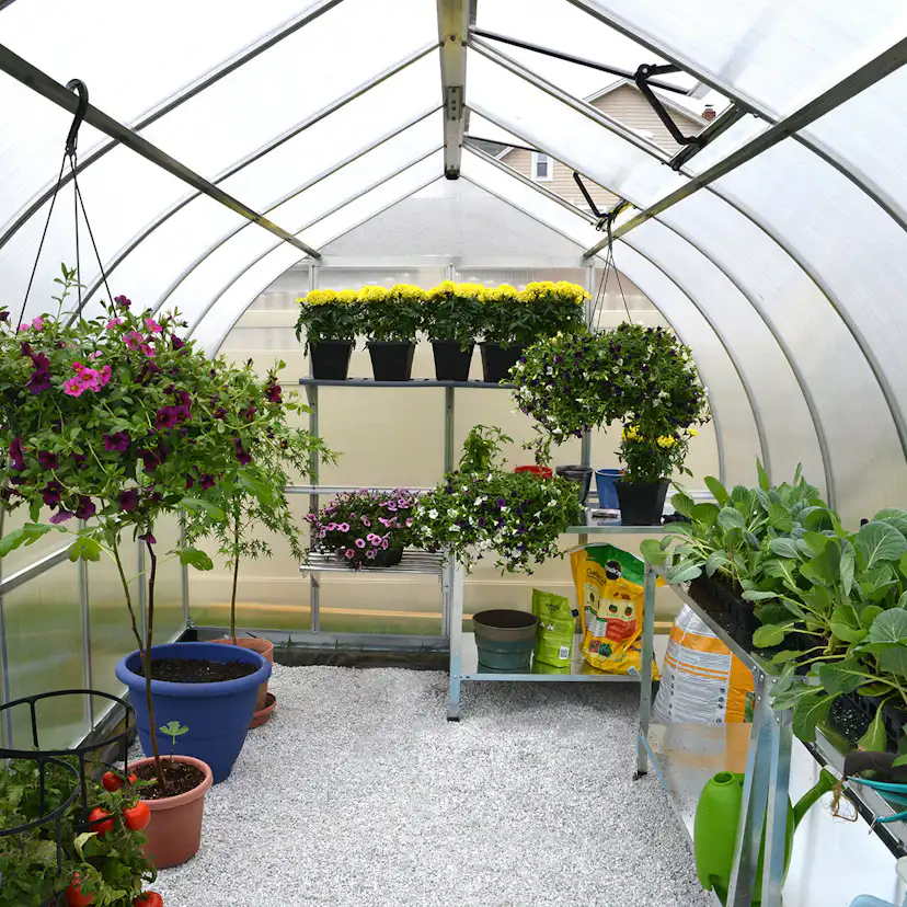 Växthus Canopia by Palram Bella Aluminiumram med UV-Skyddad Polykarbonat & Ventilationsfönster, 8,9 m²