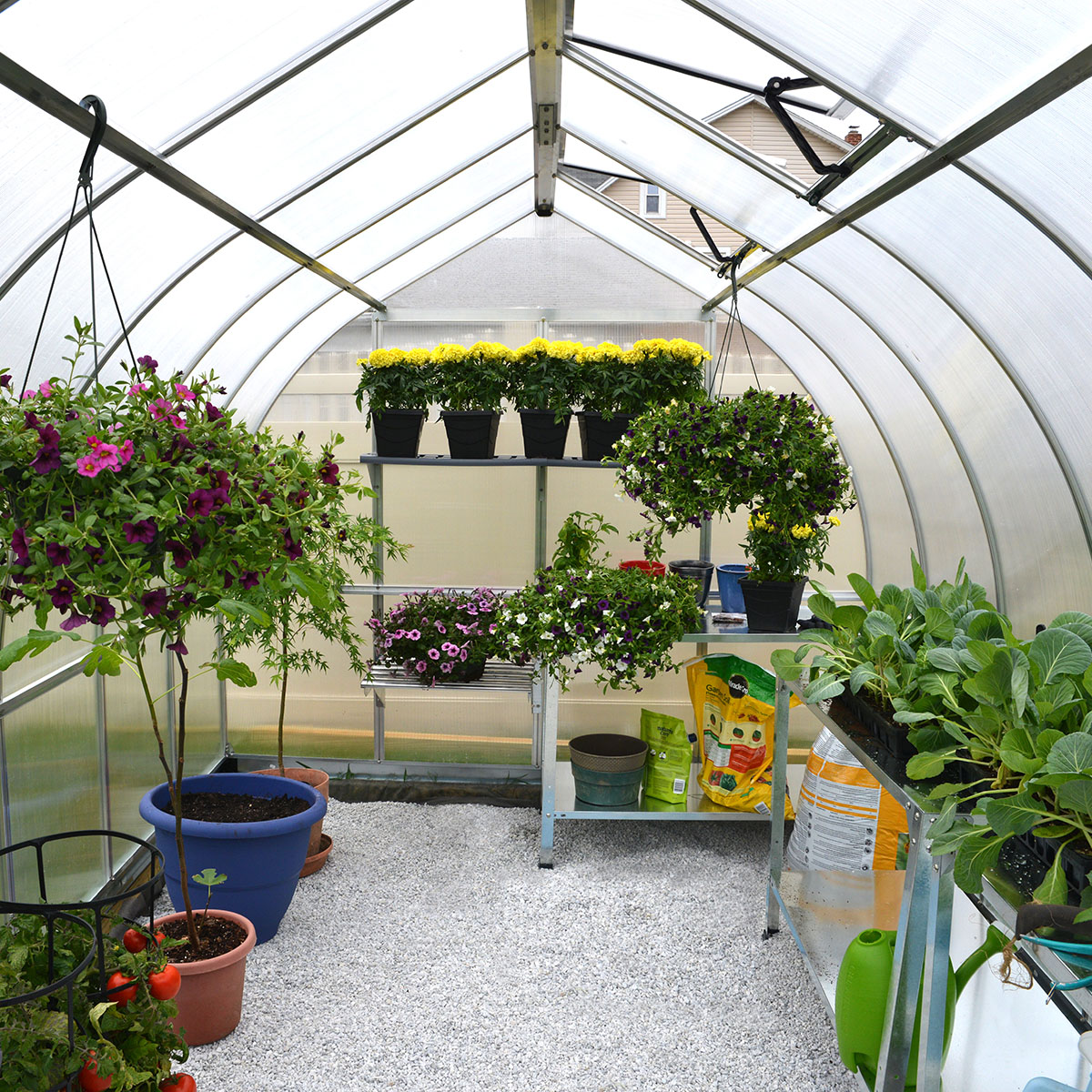 Växthus Canopia by Palram Bella Aluminiumram med UV-Skyddad Polykarbonat & Ventilationsfönster, 8,9 m²