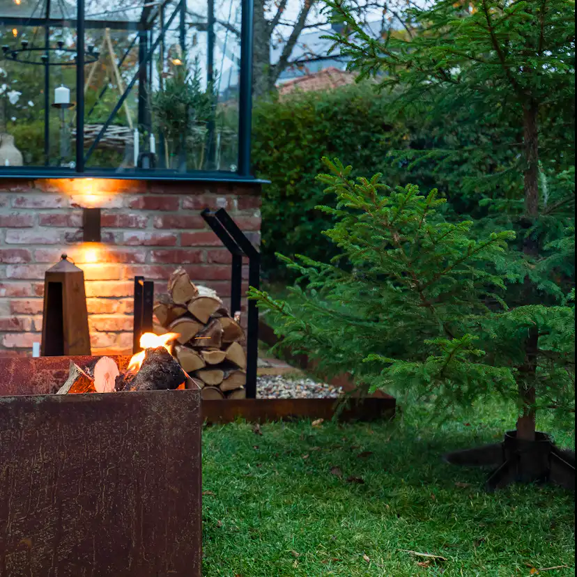 Julgransfot Skotte Garden Linnéa