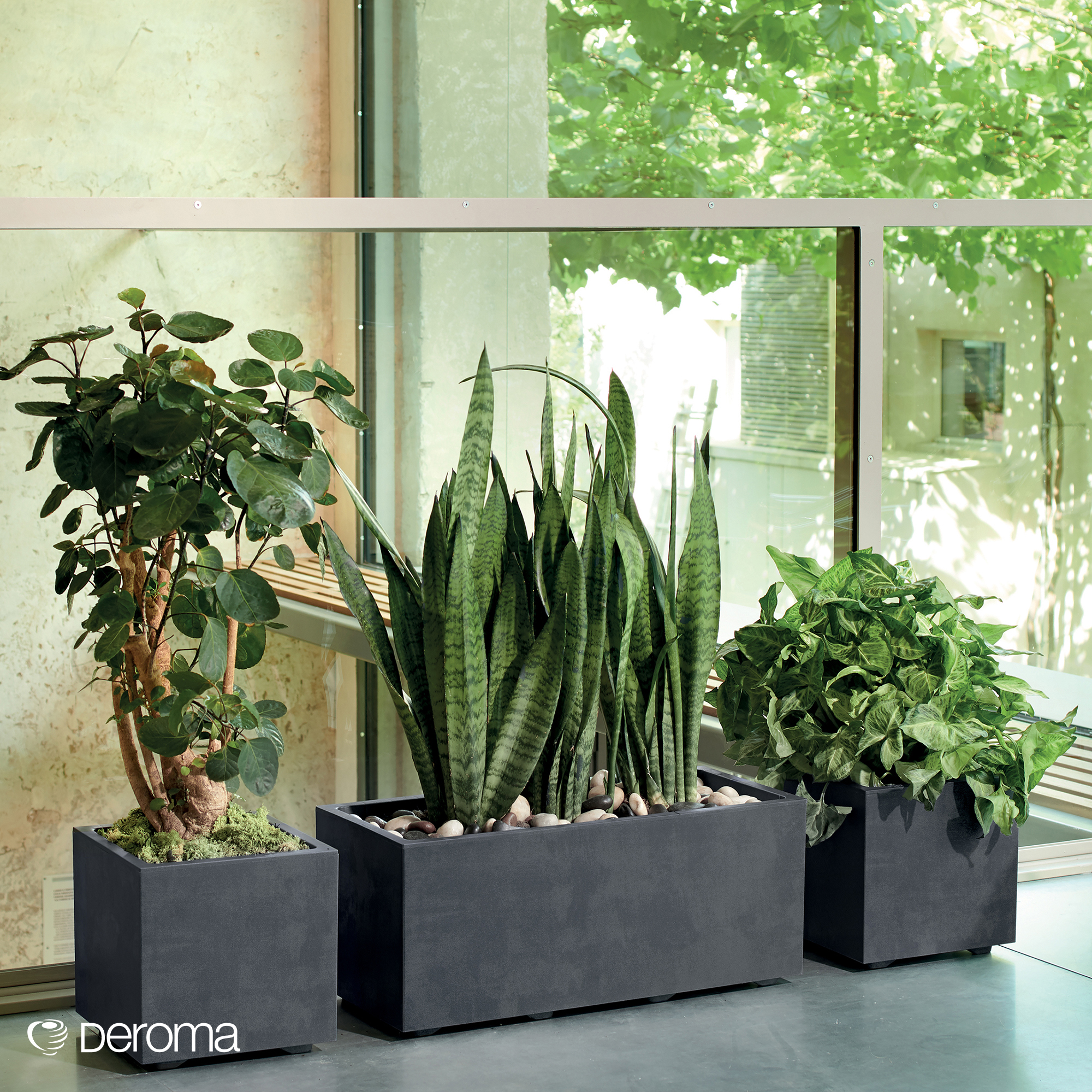 Kruka Deroma Millennium Antracit Rektangulär 79 x 39 x 39 cm