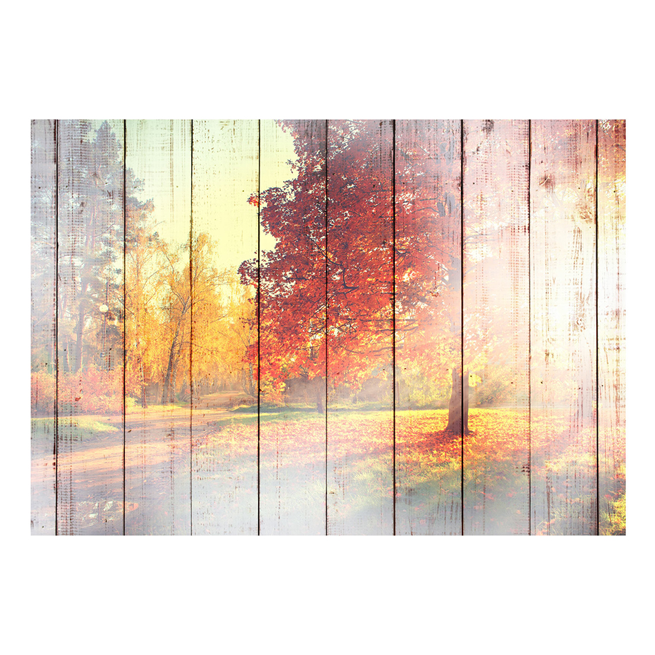 Fototapet Arkiio Autumn Sun