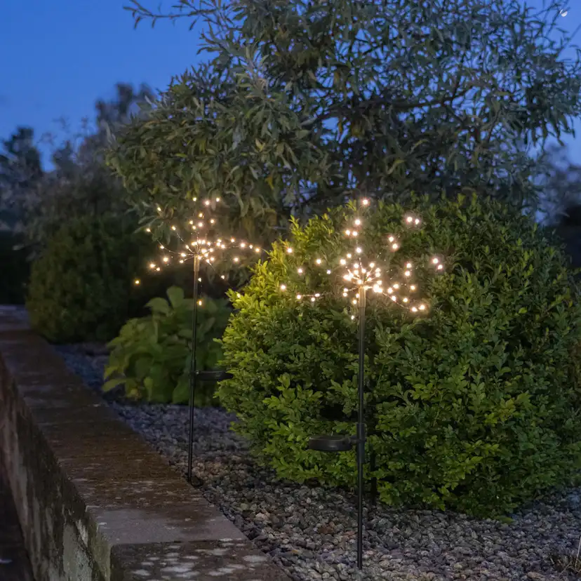 Solcellsdekoration Star Trading Firework 2-pack 60 cm Twilight