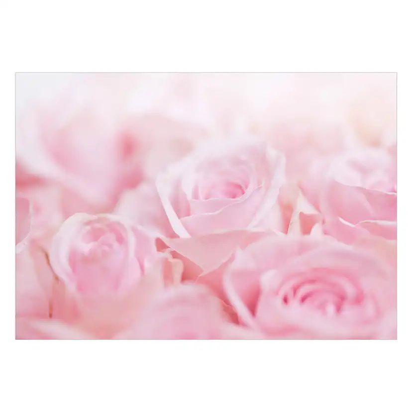 Fototapet Arkiio Ocean Of Roses